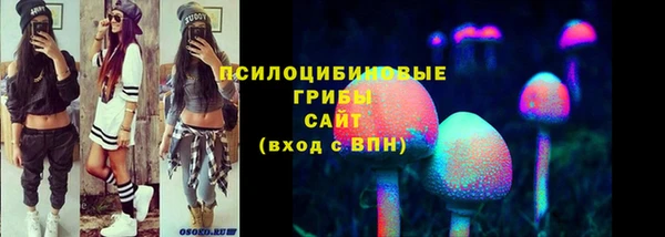 ГАЛЛЮЦИНОГЕННЫЕ ГРИБЫ Нязепетровск