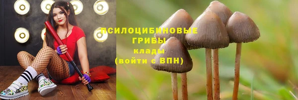 дурь Няндома