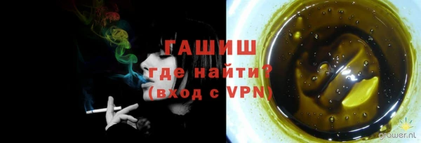 гашик Осинники