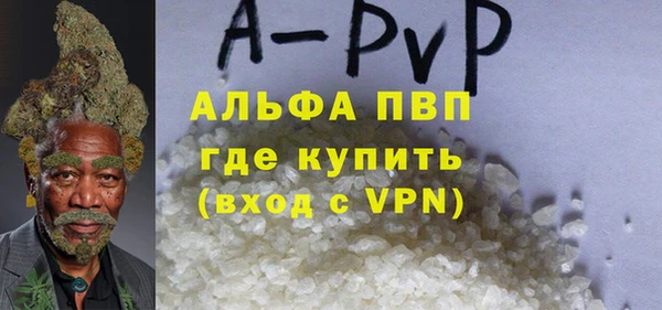 гашик Осинники